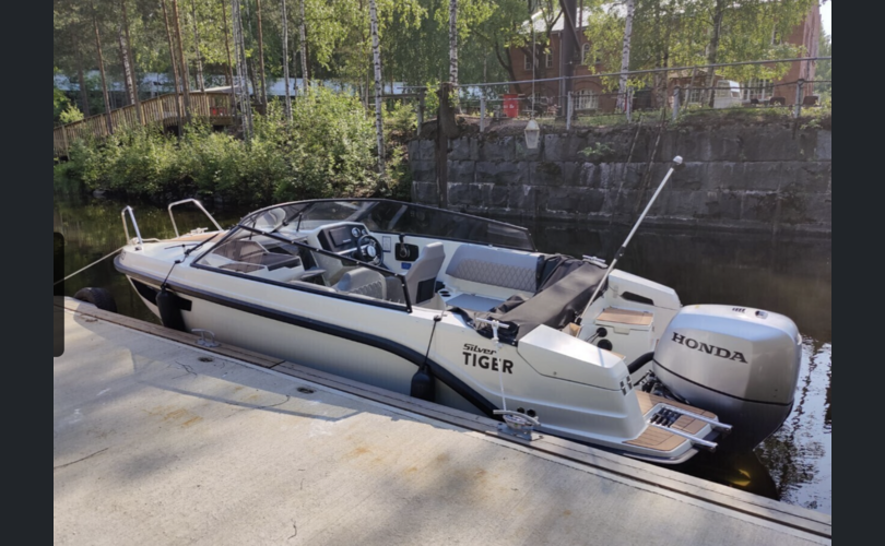 Silver Tiger DC-kuva-3